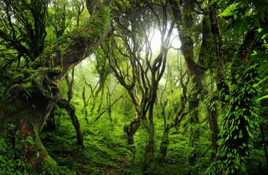 Bagan Budist tapınağı