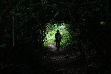 yalnız karanlık forrest tünel çıkışında ile