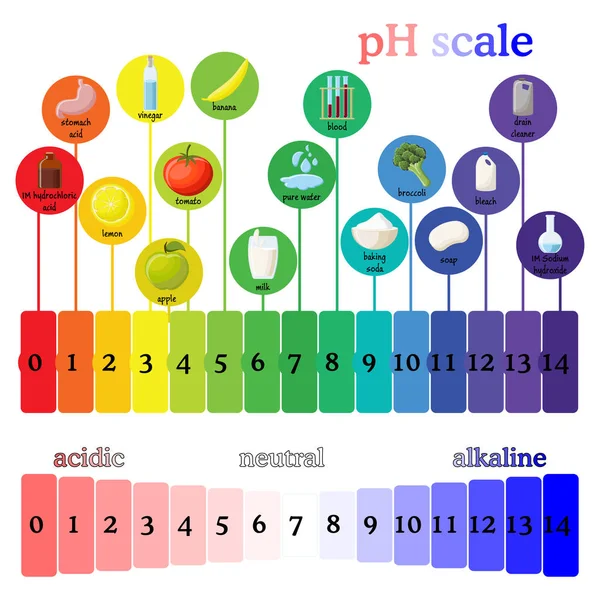 PH schaal. Litmus paper Kleurenoverzicht. — Stockvector