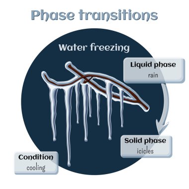 Water freezing - icicles on tree branches. Phase transition from liquid to solid state. clipart