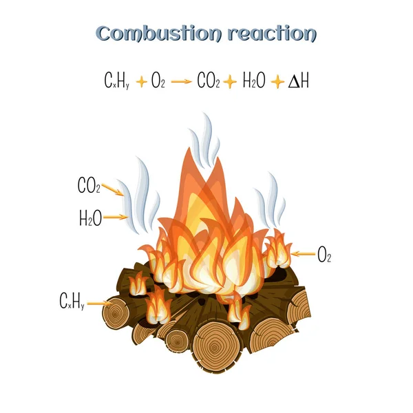 Combustion reaction - wood burning at fire camp. — Stock Vector