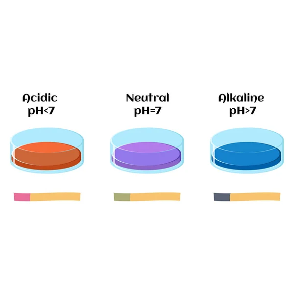 Vloeistof en lakmoespapier lakmoesproef in oplossingen met neutrale, zure en alkalische ph — Stockvector