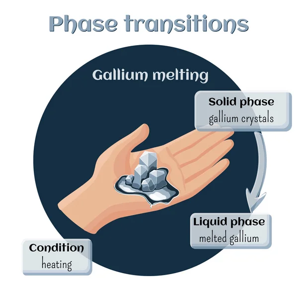 Gallium smelten. Faseovergang van vaste naar vloeibare toestand. — Stockvector