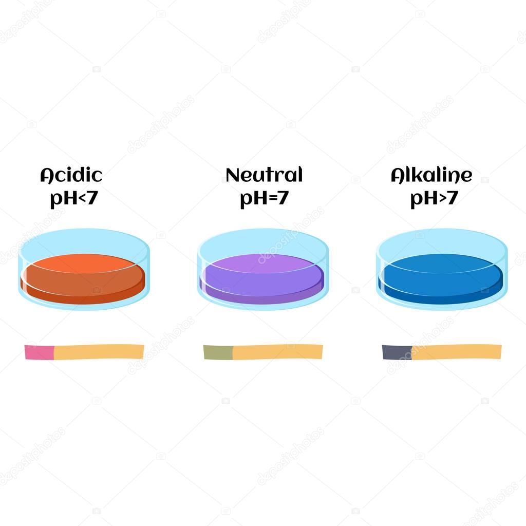 Litmus liquid and litmus paper test in solutions with acidic, alkaline and neutral pH