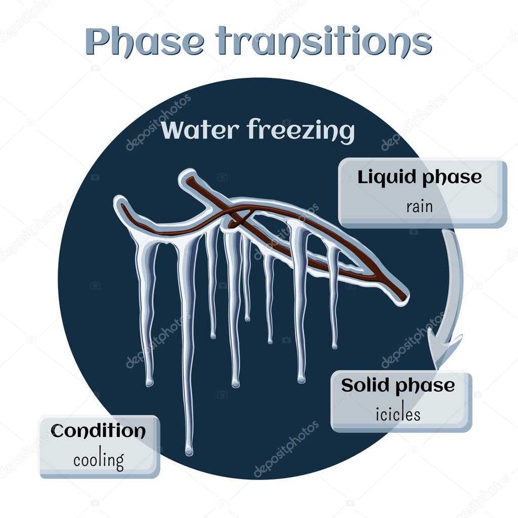 Water freezing - icicles on tree branches. Phase transition from liquid to solid state.
