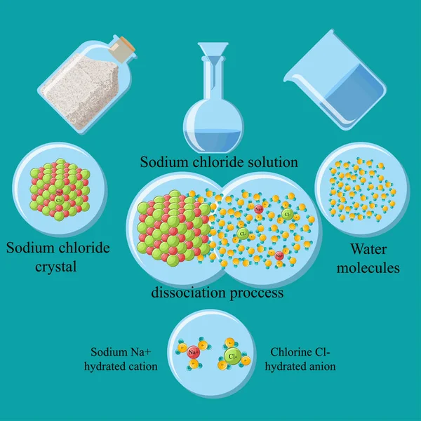 Het proces van dissociatie van keukenzout, natriumchloride, in water. — Stockvector