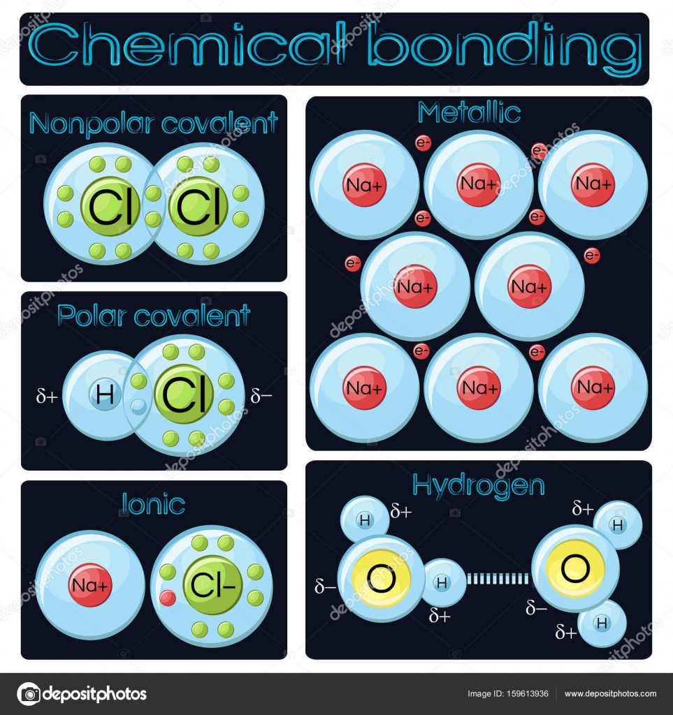 类型的化学键图库矢量图©inkoly 159613936