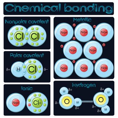 Types of chemical bonding clipart