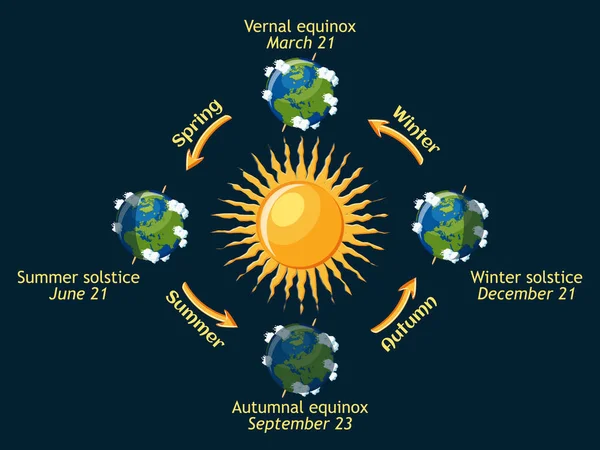 Zyklus der Jahreszeiten der Erde. Herbst- und Frühlingstagundnachtgleiche, Sommer- und Wintersonnenwende. — Stockvektor