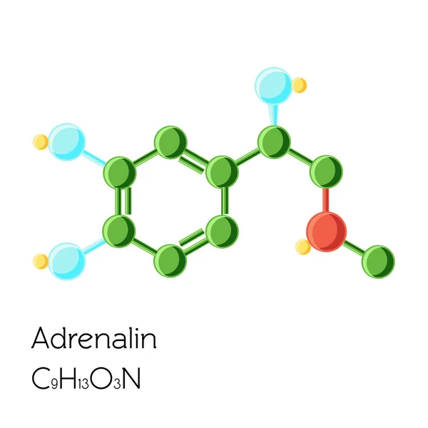 Adrenalina, adrenalina, fórmula química estrutural da hormona da epinefrina isolada no fundo branco . — Vetor de Stock