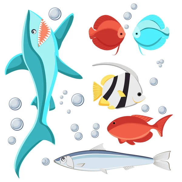 卡通风格的鱼和水泡。鲨鱼, 沙丁鱼, 铁饼, zebrasoma, 蝴蝶鱼, 白色背景隔离. — 图库矢量图片