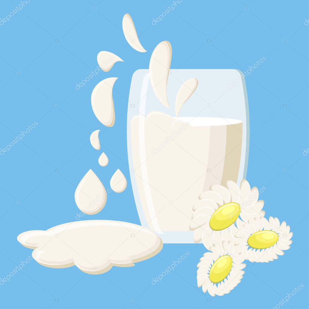 Glass of milk with milk splashes and daisies isolated on blue background.