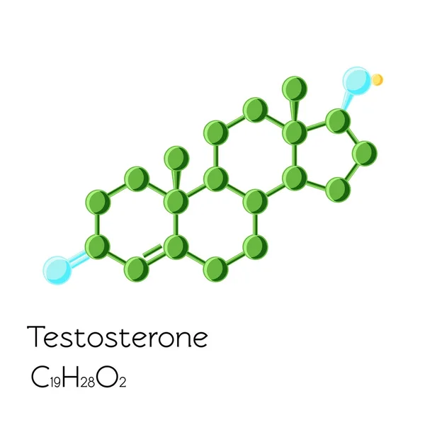 Fórmula estructural de la hormona testosterona aislada sobre fondo blanco . — Vector de stock