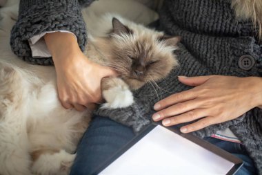 Mevcut teknoloji aygıtları yerinde