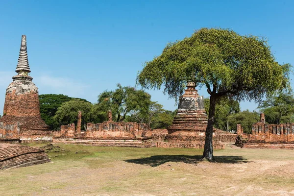 Tayland tapınaklar Ayutthaya Tarih Parkı — Stok fotoğraf