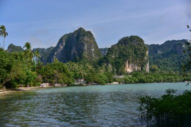 Krabi (Tayland Railay Beach güzel Panoraması)