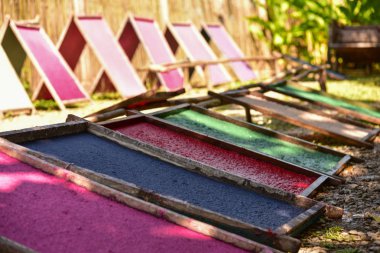 Kaka fil ile kağıt geri dönüşüm, kağıtları güneşin altında kurutma. Tayland Poopoopaper