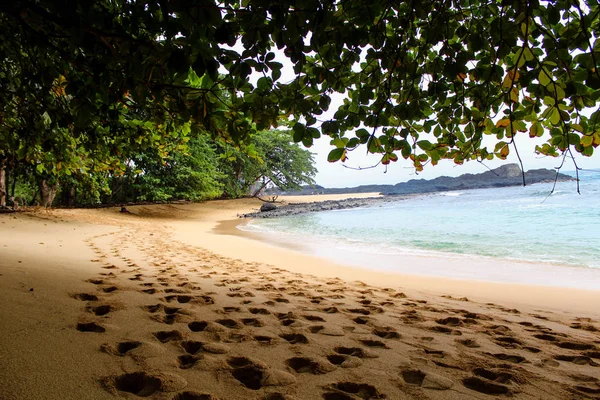 A l'ombre d'un arbre dans une belle plage avec de l'eau claire à Sao Tomé-et-Principe, en Afrique — Photo