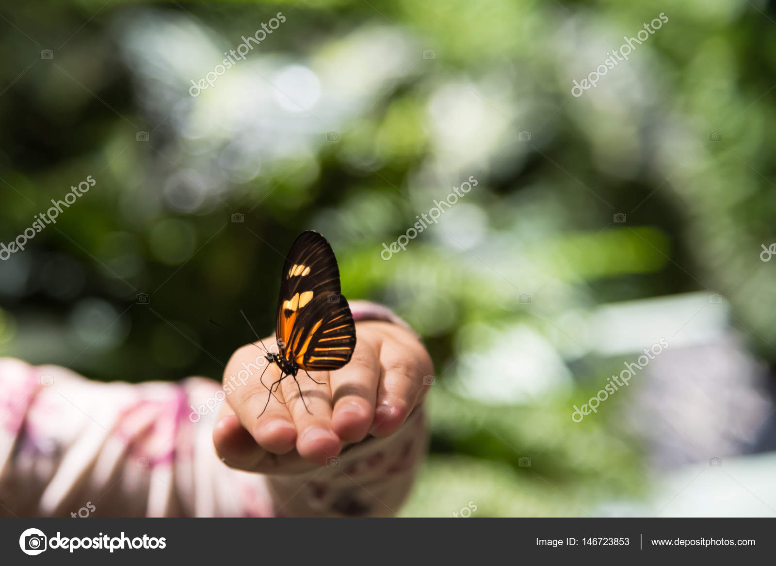 モナーク蝶の少女の手の上に座って ストック写真 C Epasqualli