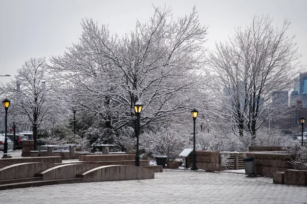 Bancs recouverts de neige pendant la tempête d'hiver Stella. New York — Photo