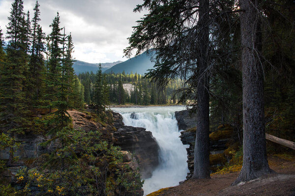 Athabasca Falls in Jasper National Park - Alberta, Canada