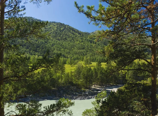 yüksek dağ manzarası 