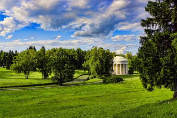 Banliyö parkta antik ağaç dikme 