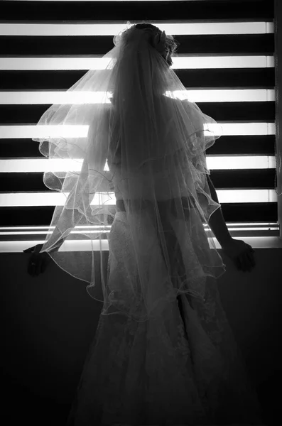 Bride and her dress — Stock Photo, Image