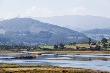 Plaj ve sahil manzaraları taşlara.