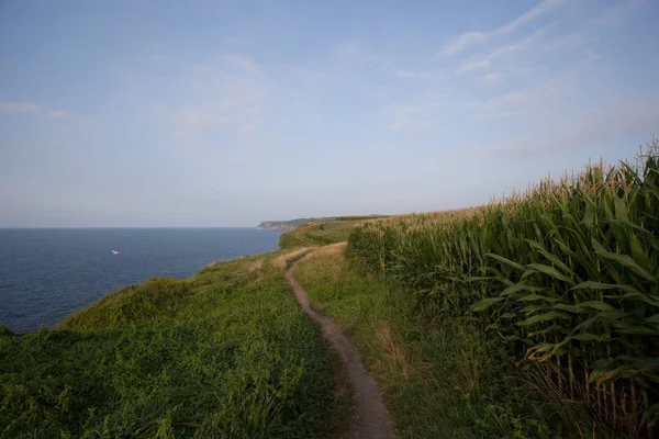 Paisagem costeira. Cliff e surf na linha costeira . — Fotografia de Stock