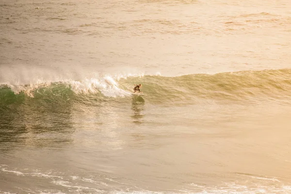 Surfer le matin . — Photo