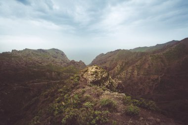 Tenerife üzerinde - hiking eşsiz doğası için bilinen ve zıt