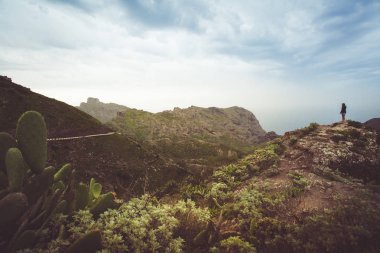 Tenerife üzerinde - hiking eşsiz doğası için bilinen ve zıt