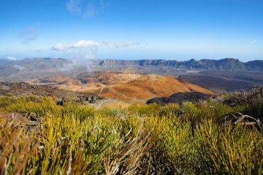 Tenerife üzerinde - hiking eşsiz doğası için bilinen ve zıt