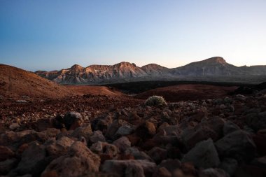 Tenerife üzerinde - hiking eşsiz doğası için bilinen ve zıt