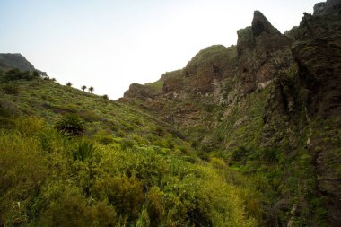 Tenerife üzerinde - hiking eşsiz doğası için bilinen ve zıt