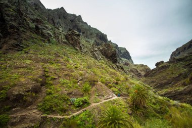 Tenerife üzerinde - hiking eşsiz doğası için bilinen ve zıt