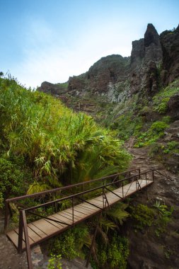 Hiking on Tenerife - Known for its unique nature and contrasting clipart