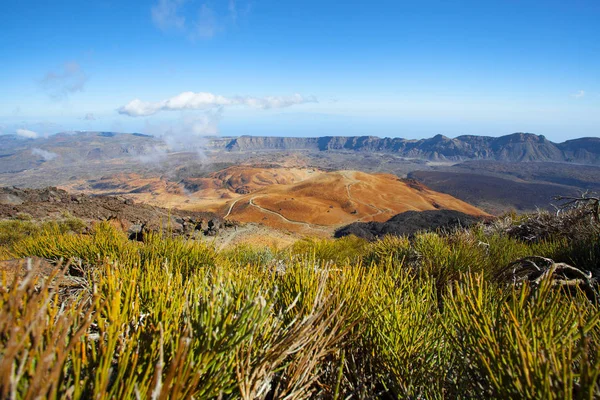 A Tenerife - túrázás ismert egyedi jellege és egymástól elütő — Stock Fotó