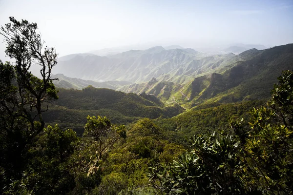 A Tenerife - túrázás ismert egyedi jellege és egymástól elütő — Stock Fotó