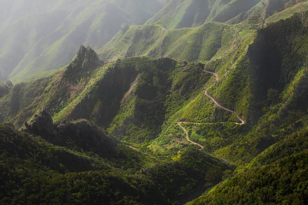 Tenerife üzerinde - hiking eşsiz doğası için bilinen ve zıt