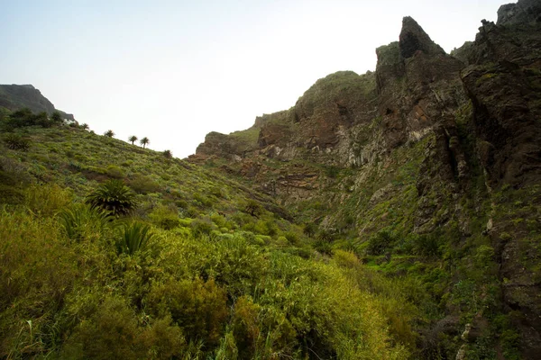 Vandring på Teneriffa - känd för sin unika natur och kontrasterande — Stockfoto