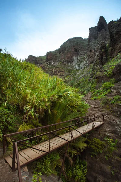 A Tenerife - túrázás ismert egyedi jellege és egymástól elütő — Stock Fotó