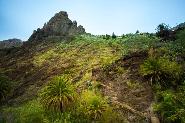 A Tenerife - túrázás ismert egyedi jellege és egymástól elütő — Stock Fotó