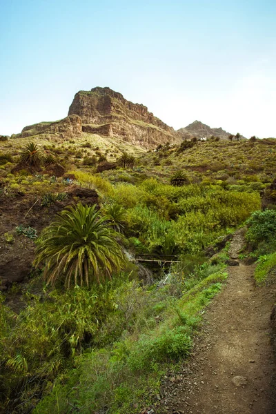 Wandelen op Tenerife - bekend om haar unieke karakter en contrasterende — Stockfoto