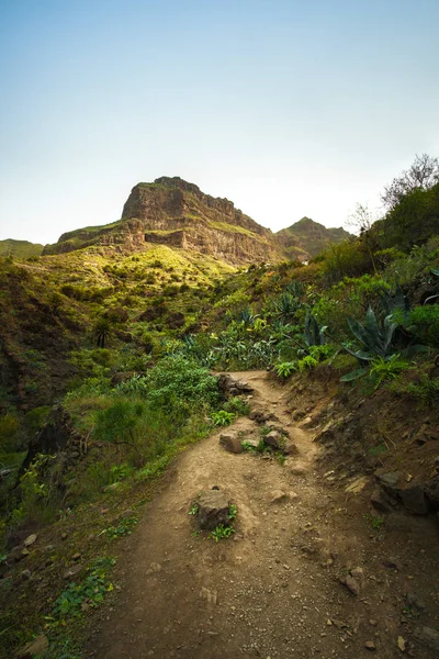A Tenerife - túrázás ismert egyedi jellege és egymástól elütő — Stock Fotó