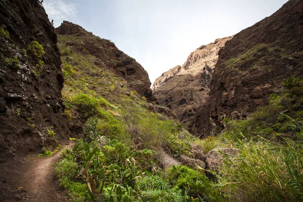 A Tenerife - túrázás ismert egyedi jellege és egymástól elütő — Stock Fotó