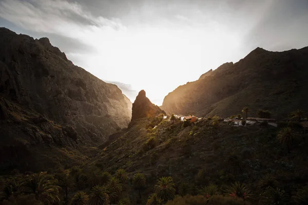 Tenerife üzerinde - hiking eşsiz doğası için bilinen ve zıt