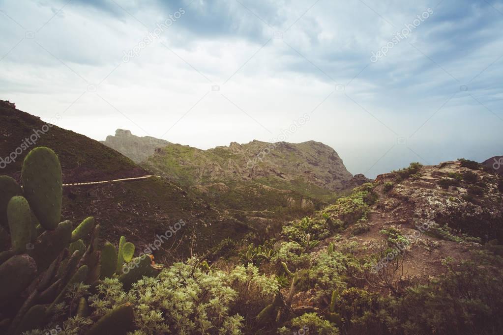 Hiking on Tenerife - Known for its unique nature and contrasting