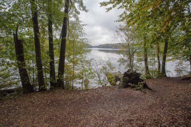 Alman dağlar ve ormanlar - bazı Alman ortalama mou sonbahar